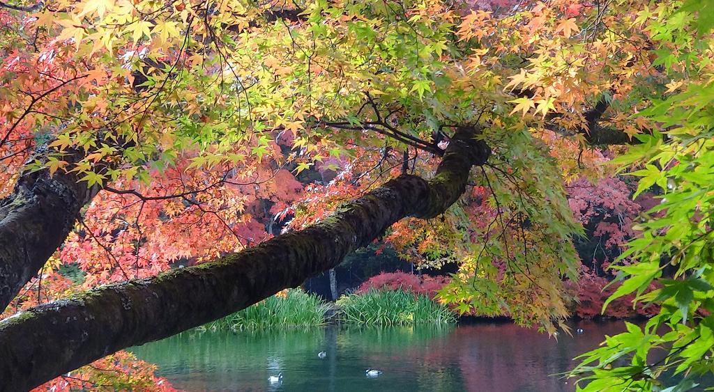 Hotel Cypress Karuizawa Zewnętrze zdjęcie