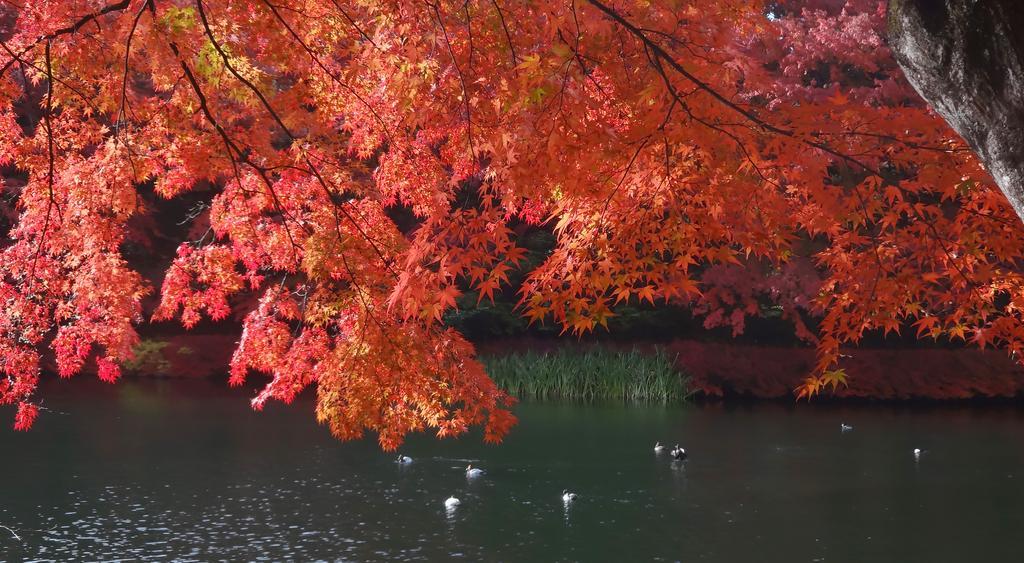 Hotel Cypress Karuizawa Zewnętrze zdjęcie